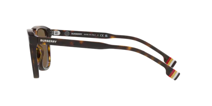 Burberry George Sunglasses BE4381U 300273