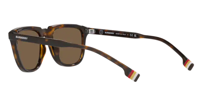 Burberry George Sunglasses BE4381U 300273