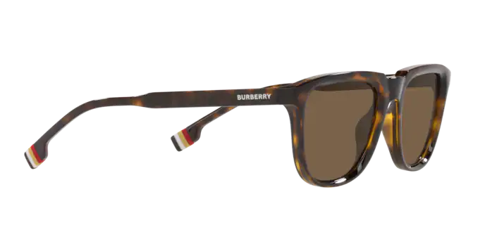 Burberry George Sunglasses BE4381U 300273