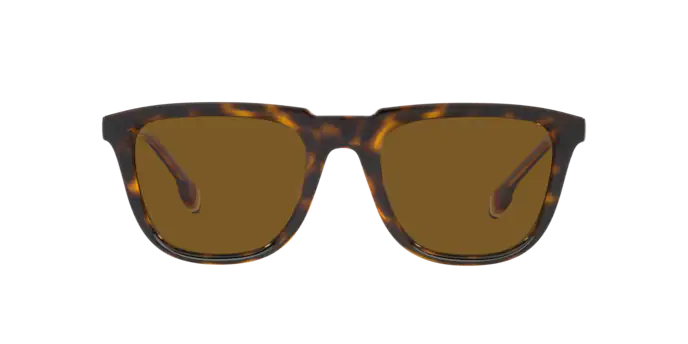 Burberry George Sunglasses BE4381U 300283