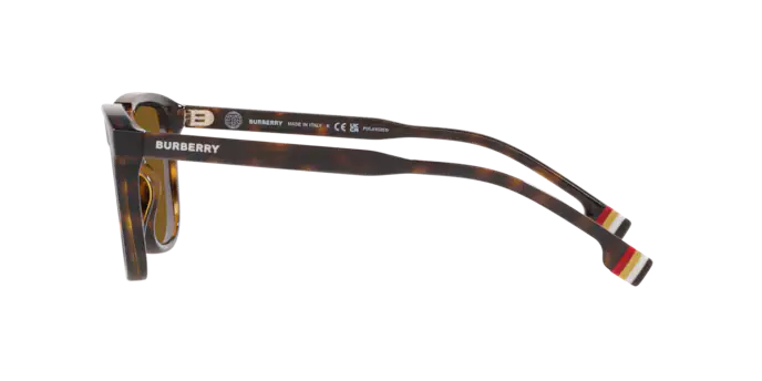 Burberry George Sunglasses BE4381U 300283