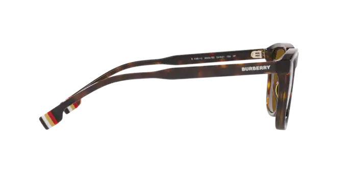 Burberry George Sunglasses BE4381U 300283