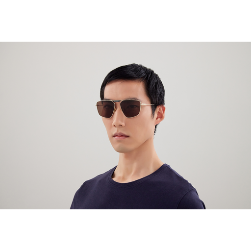 Balenciaga Sunglasses BB0246SA 003