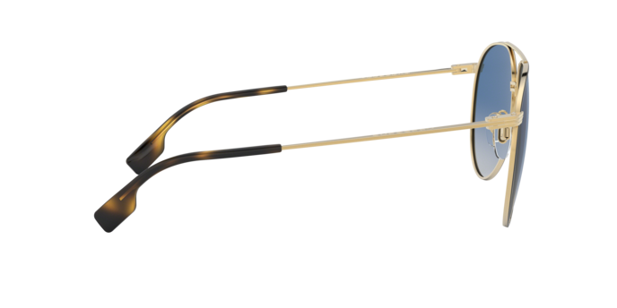 Burberry Sunglasses BE3108 10174L