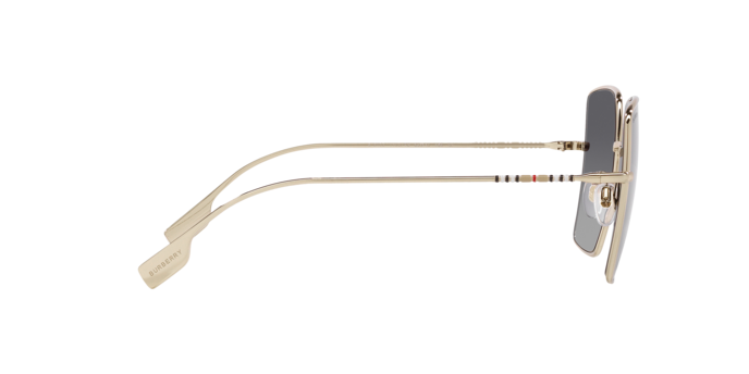 Burberry Daphne Sunglasses BE3133 1109T3