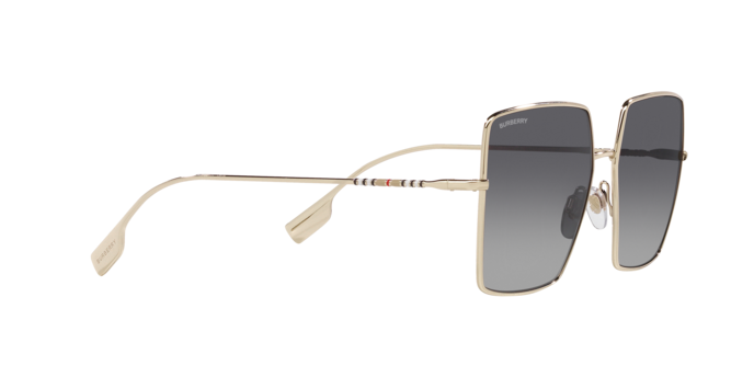 Burberry Daphne Sunglasses BE3133 1109T3