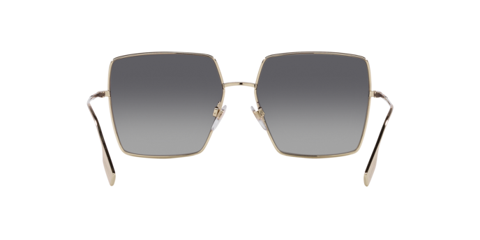 Burberry Daphne Sunglasses BE3133 1109T3