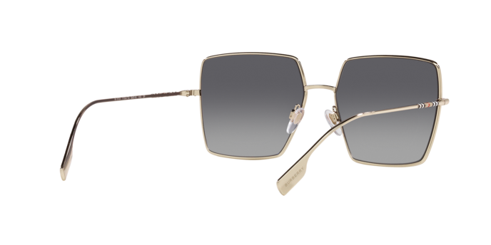 Burberry Daphne Sunglasses BE3133 1109T3