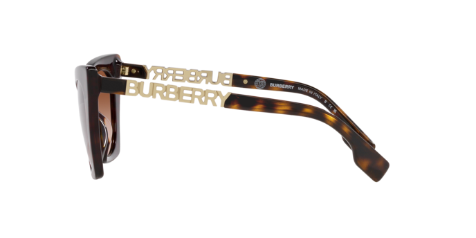 Burberry Marianne Sunglasses BE4372U 300213