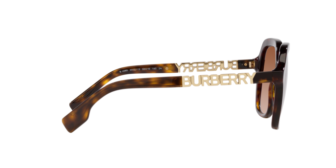 Burberry Joni Sunglasses BE4389 300213