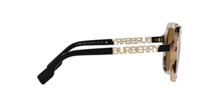 Burberry Joni Sunglasses BE4389 350173