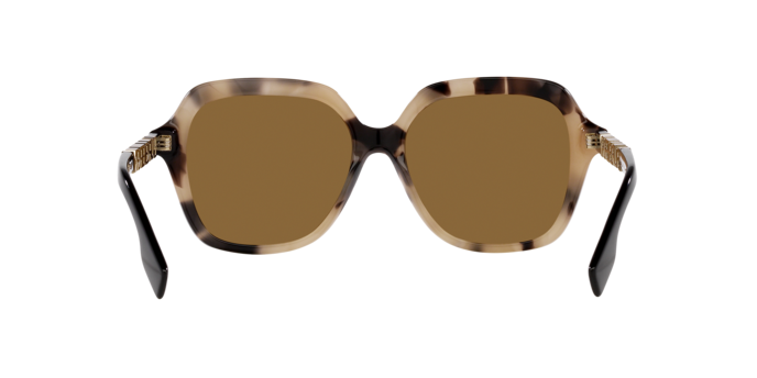 Burberry Joni Sunglasses BE4389 350173