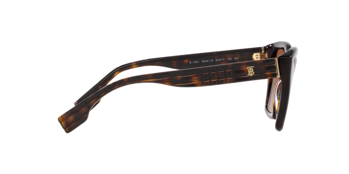 Burberry Arden Sunglasses BE4391 300213