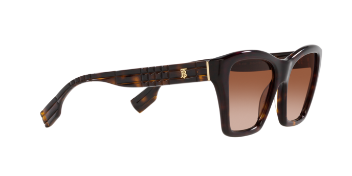 Burberry Arden Sunglasses BE4391 300213