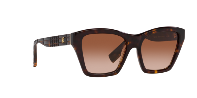 Burberry Arden Sunglasses BE4391 300213