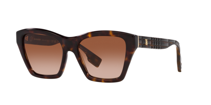 Burberry Arden Sunglasses BE4391 300213