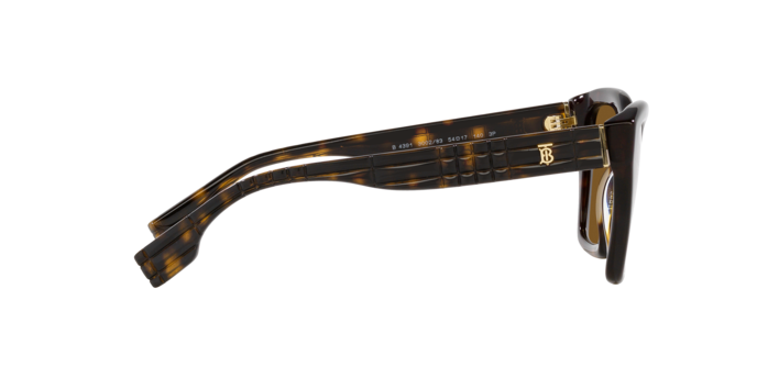 Burberry Arden Sunglasses BE4391 300283