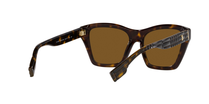 Burberry Arden Sunglasses BE4391 300283