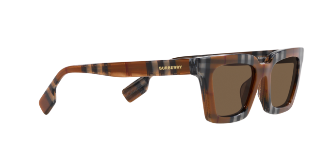 Burberry Briar Sunglasses BE4392U 396673