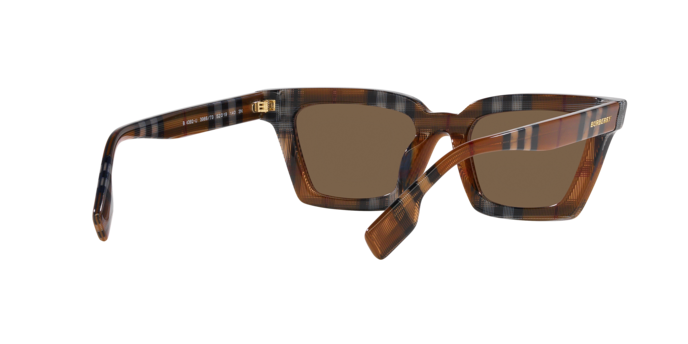 Burberry Briar Sunglasses BE4392U 396673