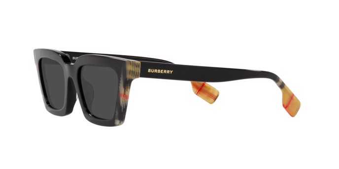 Burberry Briar Sunglasses BE4392U 405587
