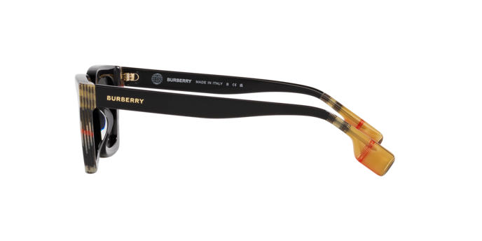 Burberry Briar Sunglasses BE4392U 405587