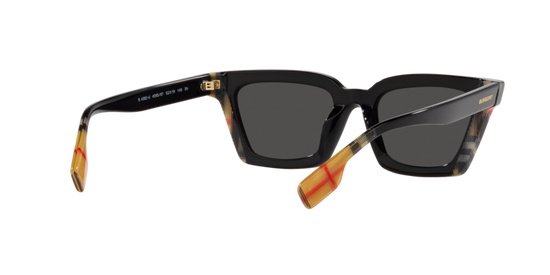 Burberry Briar Sunglasses BE4392U 405587