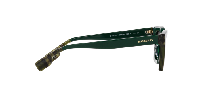 Burberry Briar Sunglasses BE4392U 405687