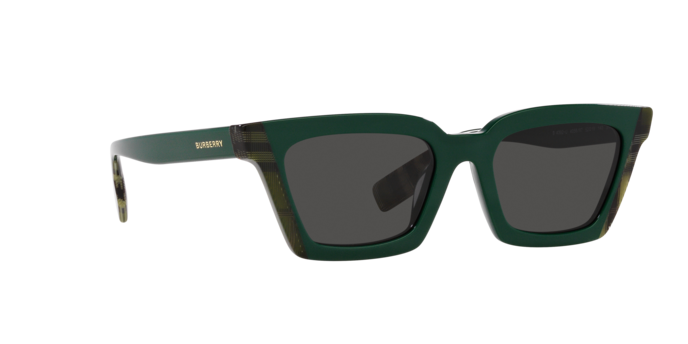 Burberry Briar Sunglasses BE4392U 405687