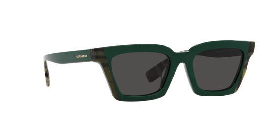 Burberry Briar Sunglasses BE4392U 405687