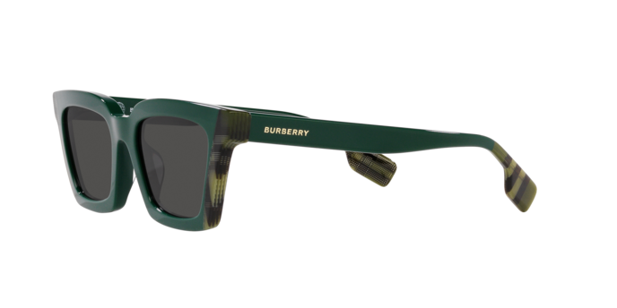 Burberry Briar Sunglasses BE4392U 405687