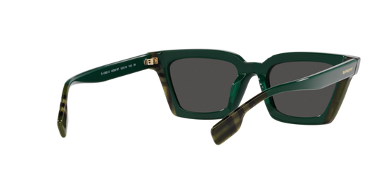 Burberry Briar Sunglasses BE4392U 405687