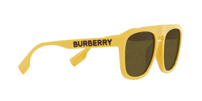 Burberry Wren Sunglasses BE4396U 407073