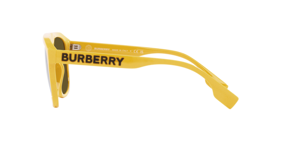 Burberry Wren BE4396U 407073 Man Sunglasses LookerOnline