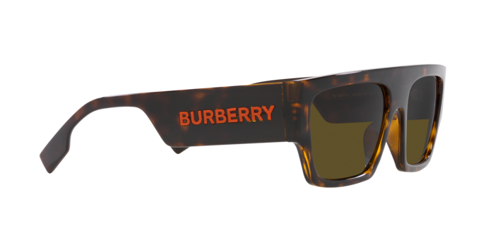 Burberry Micah Sunglasses BE4397U 300273