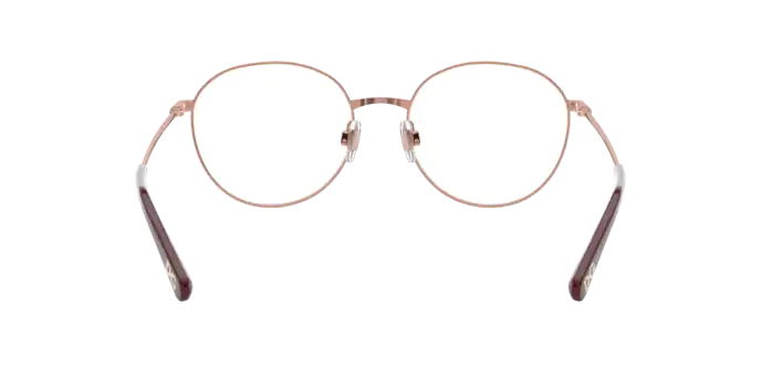 Dolce & Gabbana Eyeglasses DG1322 1333