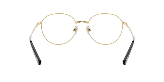 Dolce & Gabbana Eyeglasses DG1322 1334