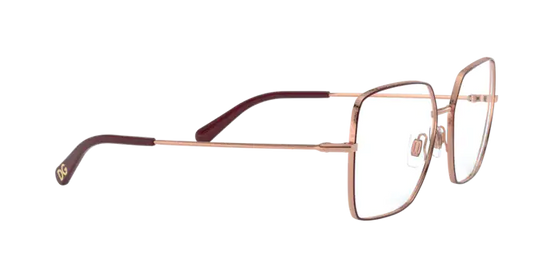 Dolce & Gabbana Eyeglasses DG1323 1333