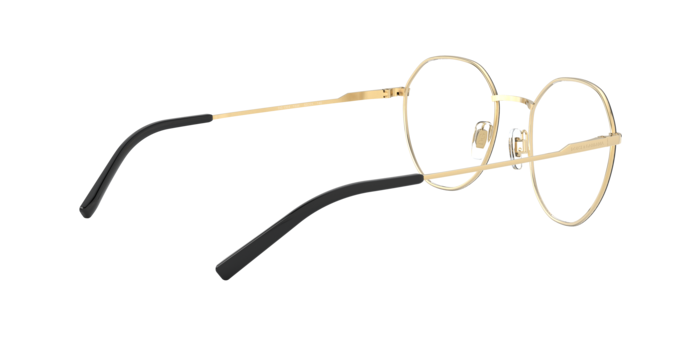 Dolce & Gabbana Eyeglasses DG1324 1334