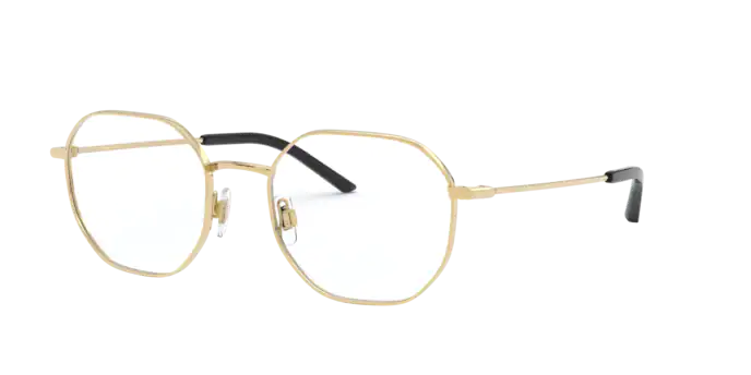 Dolce & Gabbana Eyeglasses DG1325 02