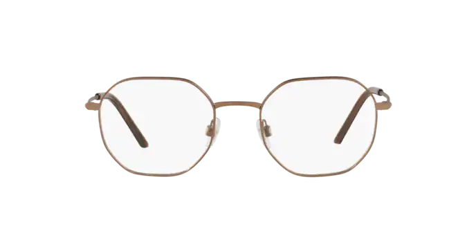 Dolce & Gabbana Eyeglasses DG1325 1356