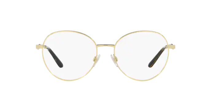 Dolce & Gabbana Eyeglasses DG1333 02