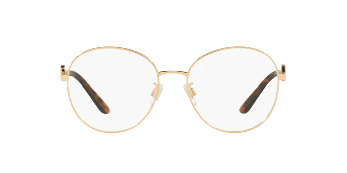 Dolce & Gabbana Eyeglasses DG1339 1354