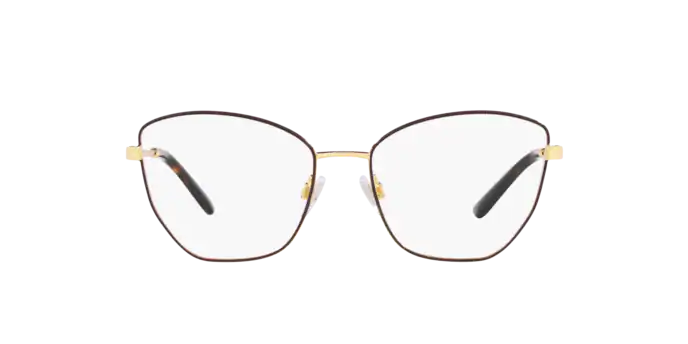 Dolce & Gabbana Eyeglasses DG1340 1320