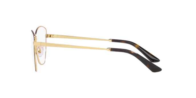 Dolce & Gabbana Eyeglasses DG1340 1320