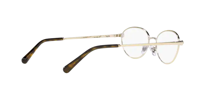 Dolce & Gabbana Eyeglasses DG1342B 1335