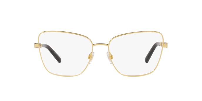 Dolce & Gabbana Eyeglasses DG1346 02