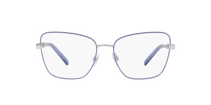 Dolce & Gabbana Eyeglasses DG1346 1317