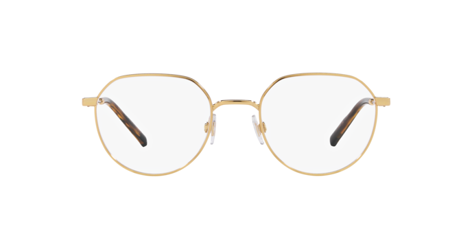 Dolce & Gabbana Eyeglasses DG1349 02