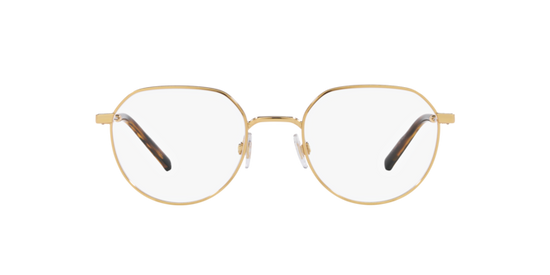 Dolce & Gabbana Eyeglasses DG1349 02